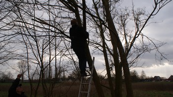 Ik kan de boom in! oftewel ik maak een dipooldraad vast aan een boom.